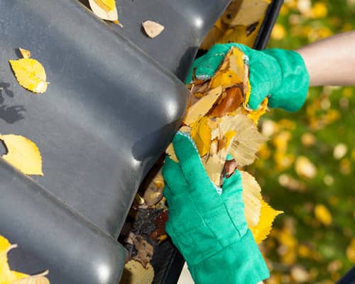 Gutter Cleaning Image