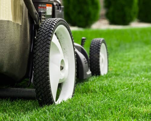 Lawn Care Image